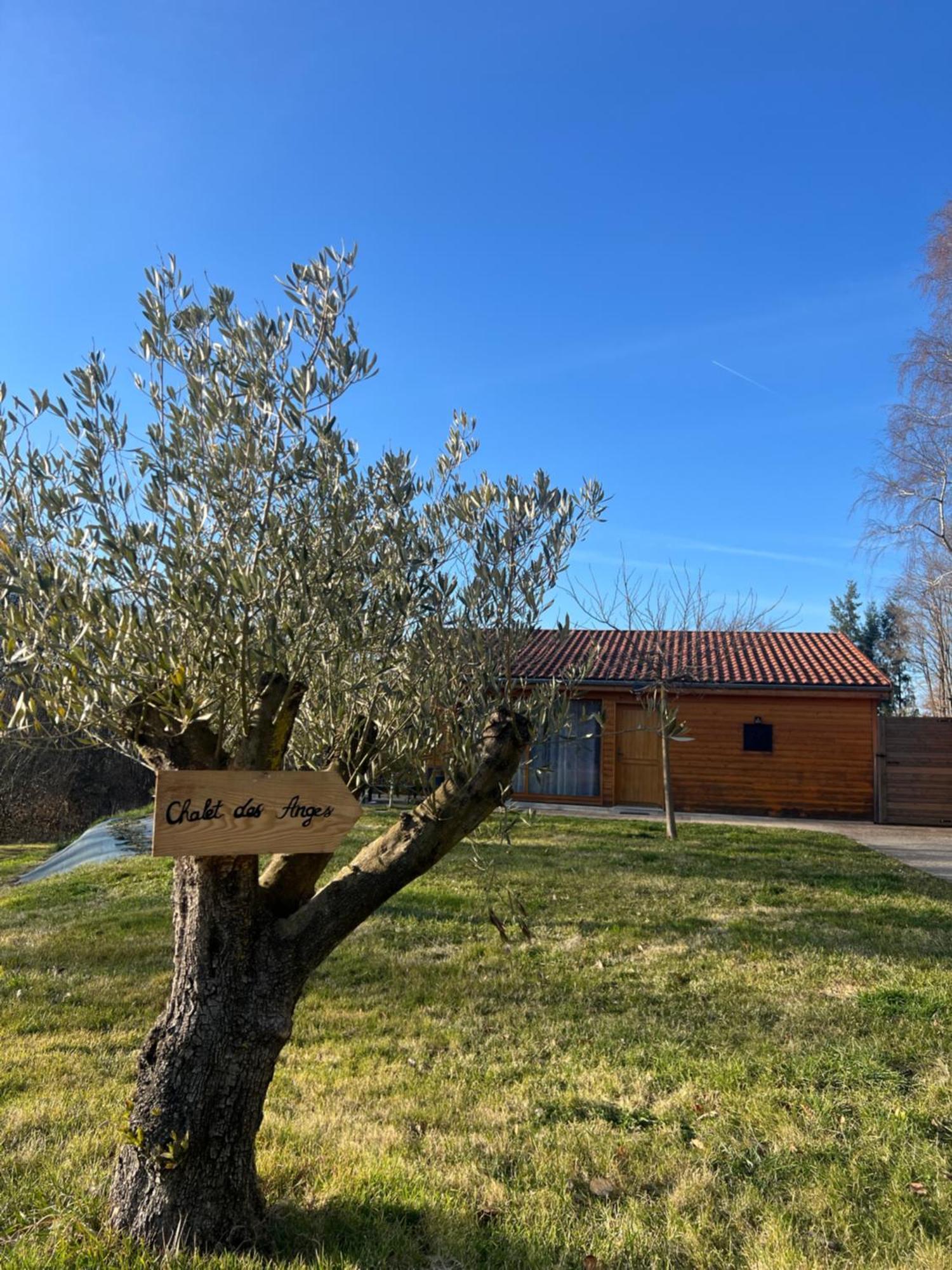 Chalet Des Anges Youx Eksteriør billede